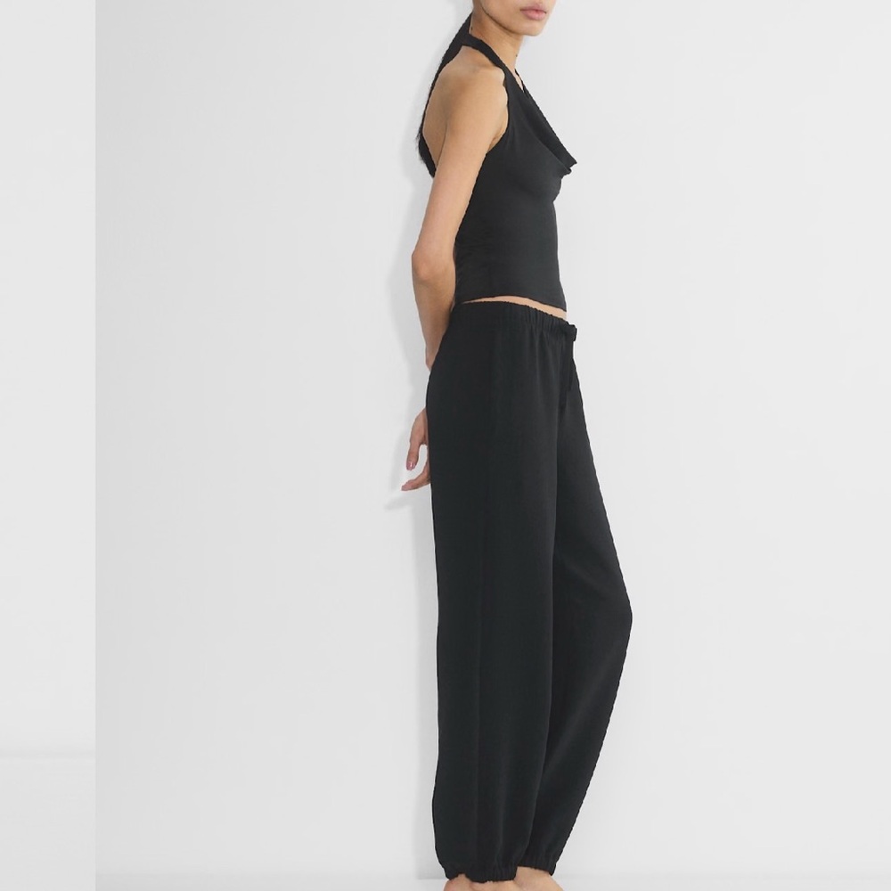 Aritzia Venice Crepette Balloon Pants